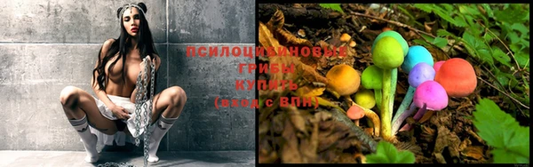 ПСИЛОЦИБИНОВЫЕ ГРИБЫ Армянск
